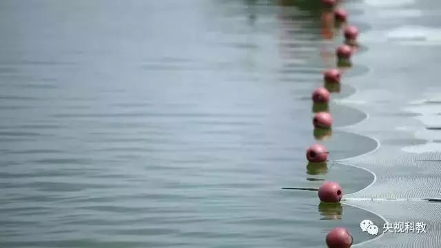 央視聚焦<a href=http://www.v99sp.com target=_blank class=infotextkey>雙良</a><a href=http://www.v99sp.com target=_blank class=infotextkey>新型光催化</a>“走進(jìn)科學(xué)”