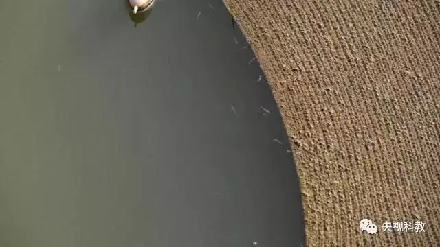 央視聚焦<a href=http://www.v99sp.com target=_blank class=infotextkey>雙良</a><a href=http://www.v99sp.com target=_blank class=infotextkey>新型光催化</a>“走進(jìn)科學(xué)”