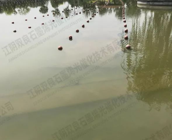 中國(guó)能建葛洲壩集團(tuán)首個(gè)PPP模式運(yùn)作的水環(huán)境治理項(xiàng)目竣工