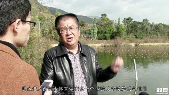 洱源西湖<a href=http://www.v99sp.com target=_blank class=infotextkey>水環(huán)境治理</a><a href=http://www.v99sp.com/hp/ target=_blank class=infotextkey>湖泊修復(fù)</a>碧水藍(lán)天