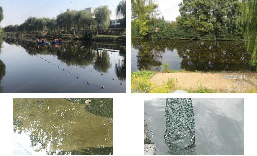 江陰市濱江河黑臭水體<a href=http://www.v99sp.com target=_blank class=infotextkey>河道治理</a>