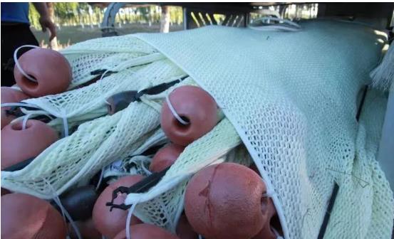 <a href=http://www.v99sp.com target=_blank class=infotextkey>雙良</a>光催化為通州鳳港減河專門治水體