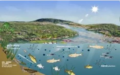 水生態(tài)評價標(biāo)準(zhǔn)和綜合評級辦法的實施