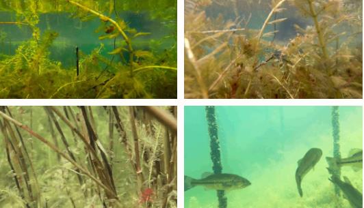 雙良新型光催化技術市場應用推廣交流會在上海順利召開！