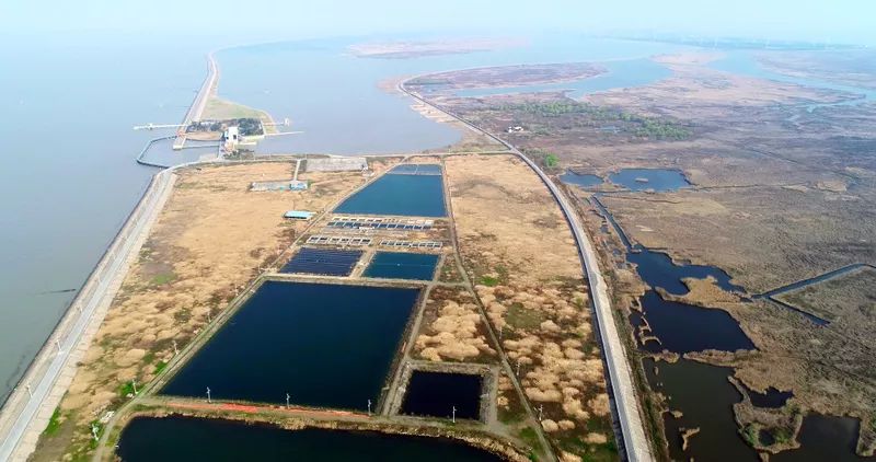 中國第一大城市飲用水<a href=http://www.v99sp.com/yysyd/ target=_blank class=infotextkey>水源地治理</a>技術突破