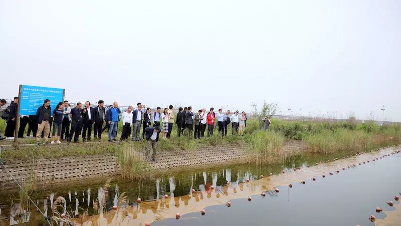 中國第一大城市飲用水<a href=http://www.v99sp.com/yysyd/ target=_blank class=infotextkey>水源地治理</a>技術突破