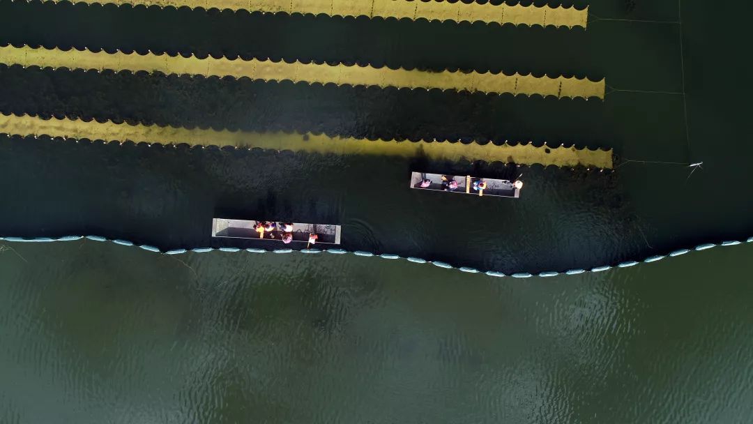 25.22億！山西晉城河道生態(tài)修復(fù)及污水資源化利用PPP項(xiàng)目啟河道治理環(huán)評(píng)動(dòng)資審