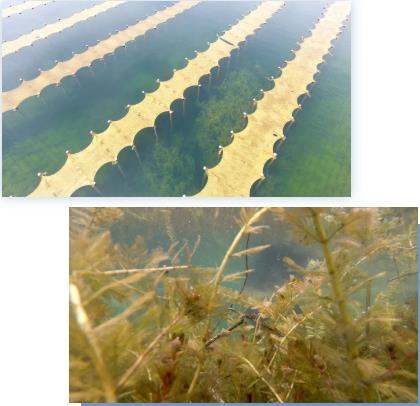 <a href=http://www.v99sp.com target=_blank class=infotextkey><a href=http://www.v99sp.com target=_blank class=infotextkey>雙良</a>環(huán)境</a><a href=http://www.v99sp.com target=_blank class=infotextkey>新型光催化</a>技術(shù)率先打響“抗生素戰(zhàn)役