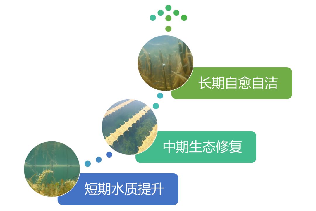 2020<a href=http://www.v99sp.com target=_blank class=infotextkey><a href=http://www.v99sp.com target=_blank class=infotextkey>雙良</a>環(huán)境</a>春招開啟