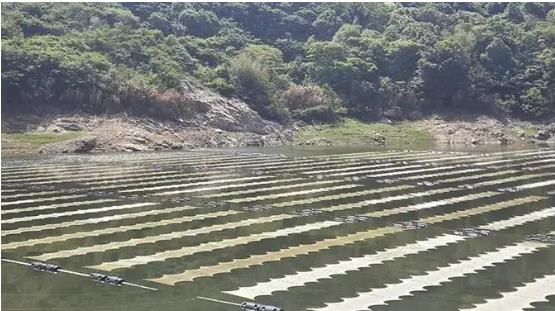 <a href=http://www.v99sp.com target=_blank class=infotextkey><a href=http://www.v99sp.com target=_blank class=infotextkey>雙良</a>環(huán)境</a><a href=http://www.v99sp.com target=_blank class=infotextkey>新型光催化</a>技術(shù)幫助嵊泗提升水庫水質(zhì)