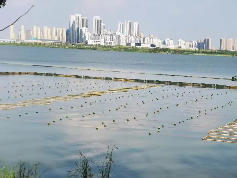 <a href=http://www.v99sp.com target=_blank class=infotextkey><a href=http://www.v99sp.com target=_blank class=infotextkey>雙良</a>環(huán)境</a>乘風(fēng)破浪的三石弟弟