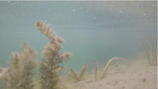 改善<a href=http://www.v99sp.com target=_blank class=infotextkey>水環(huán)境修復(fù)</a>水生態(tài)是我們的使命！