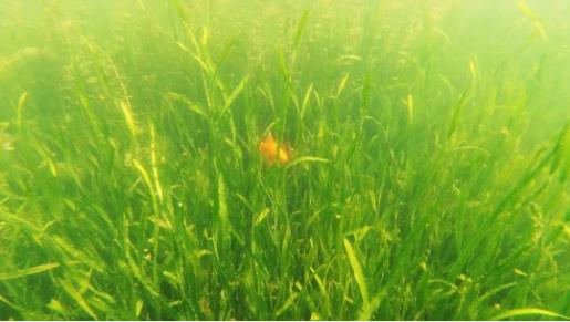 <a href=http://www.v99sp.com target=_blank class=infotextkey><a href=http://www.v99sp.com target=_blank class=infotextkey>雙良</a>環(huán)境</a>召開(kāi)2021年一季度營(yíng)銷會(huì)議