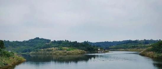 【環(huán)境保護】為百姓守護一泓清水雁江區(qū)鄉(xiāng)鎮(zhèn)集中式飲用水水源地穩(wěn)定達標(biāo)