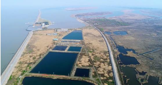 改善<a href=http://www.v99sp.com target=_blank class=infotextkey>水環(huán)境修復(fù)</a>水生態(tài)是我們的使命！