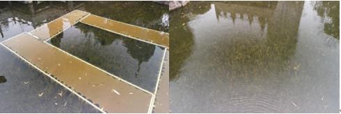 聚焦資源化、管網(wǎng)、污泥處置，解讀污水處理補短板方案三大投資機會