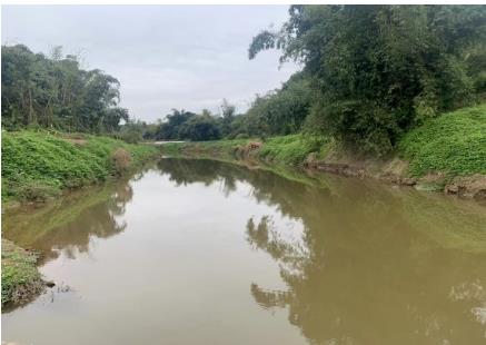 夏季水草豐茂的水域pH為何容易“超標(biāo)”？