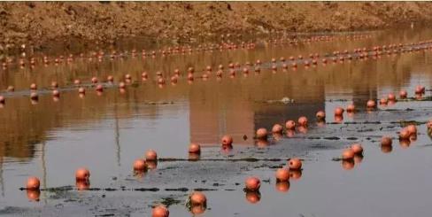 實現城鎮(zhèn)和農村污水收集處理全覆蓋