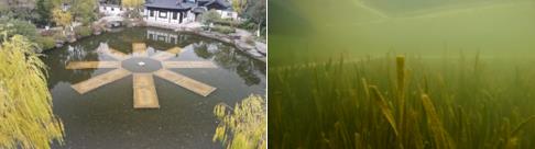 實地調研水利工程及河道治理工作