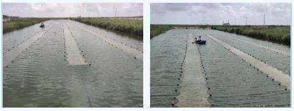 新聞轉(zhuǎn)載｜沅江市人民政府關于規(guī)范境內(nèi)天然湖泊管理的通告