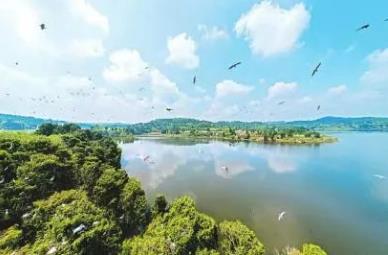 雙良環(huán)境：打好環(huán)境“保衛(wèi)戰(zhàn)”，練好生態(tài)“修復術”