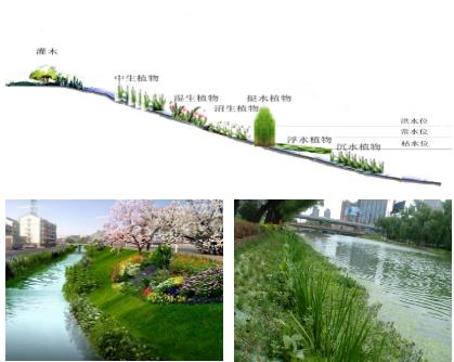 市建設(shè)局調(diào)研老虎潭水庫(kù)流域農(nóng)村污水治理工作