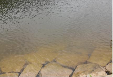 資陽重拳整治老鷹水庫非法垂釣，擬立法保護(hù)飲用水源