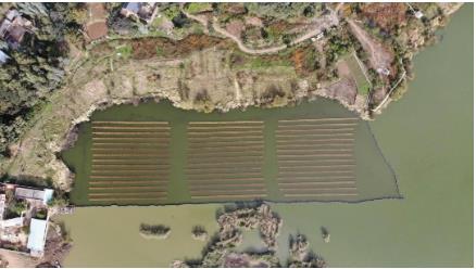 三峽集團加快推進“生態(tài)管家”模式落地見效