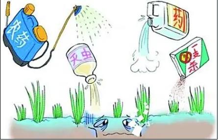 科普小課堂第55期丨農(nóng)業(yè)面源污染治理之化學(xué)農(nóng)藥減量