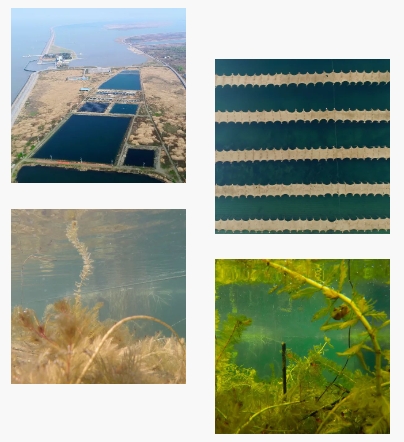 簡訊｜進入公示名單！